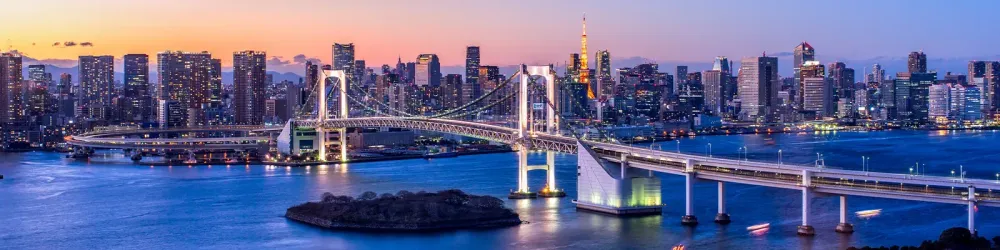 Rainbow Bridge Panorama in Tokyo, Japan